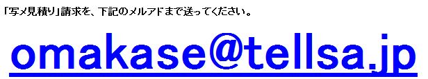 画像の説明